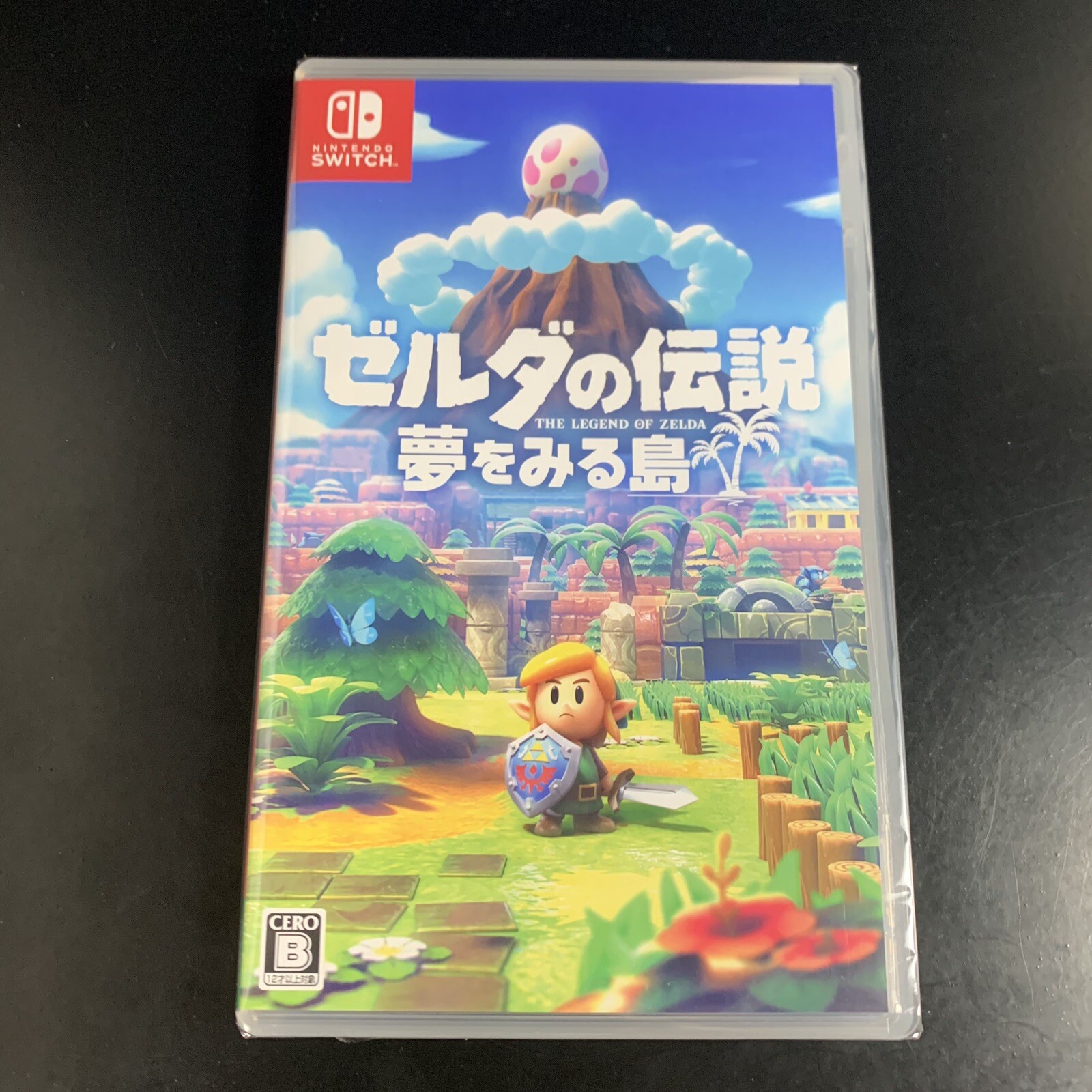 The Legend of Zelda Link's Awakening