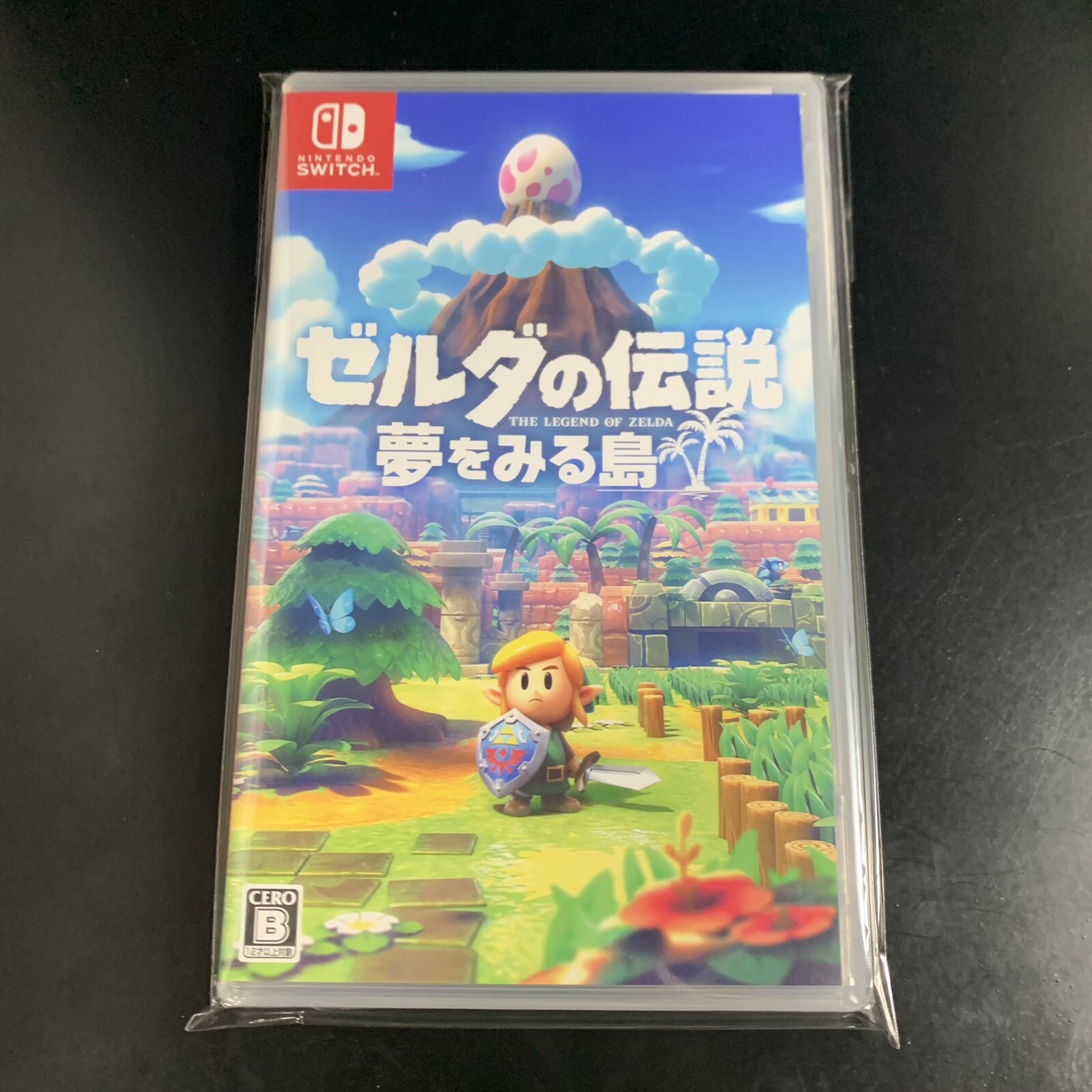 The Legend of Zelda Link's Awakening