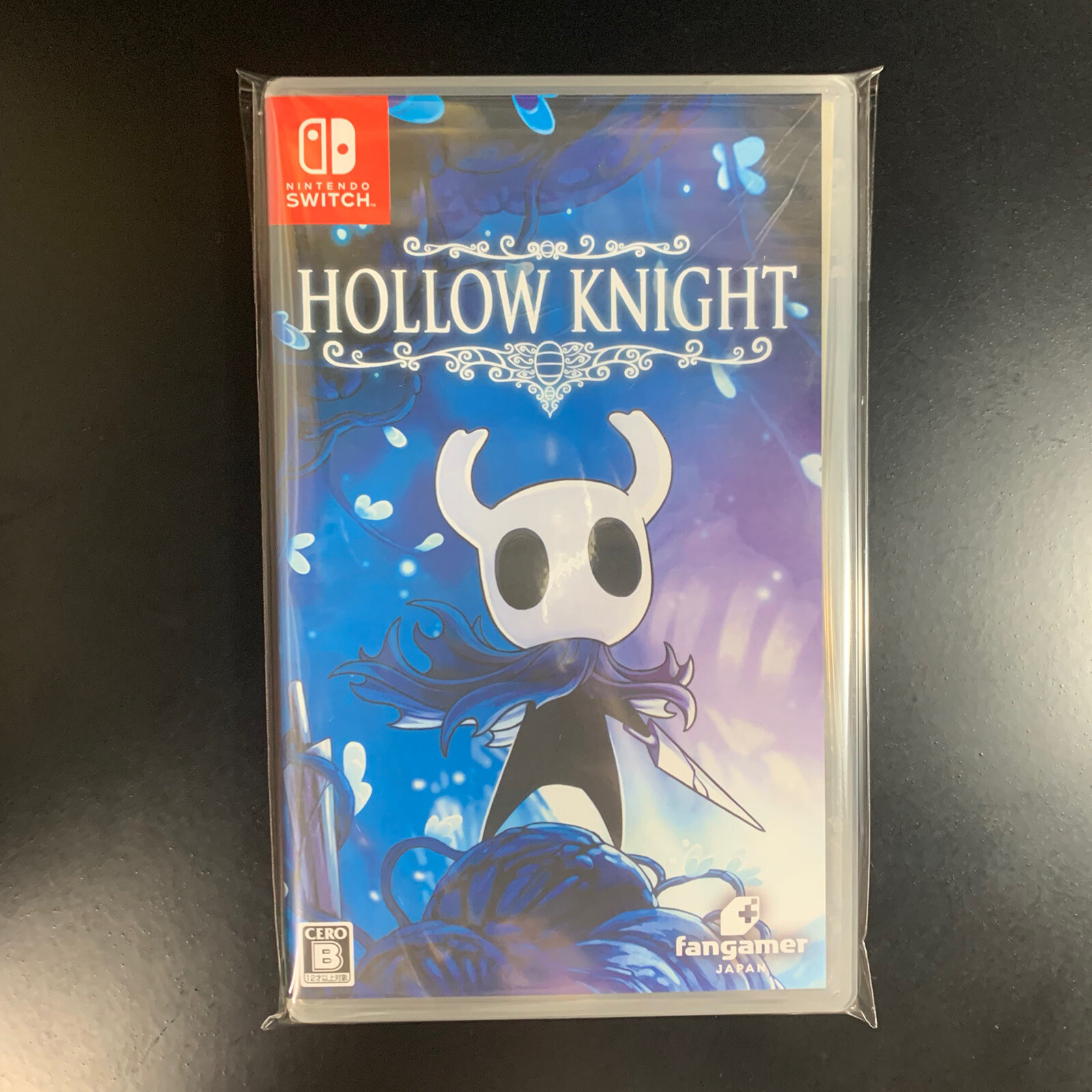 Hollow Knight