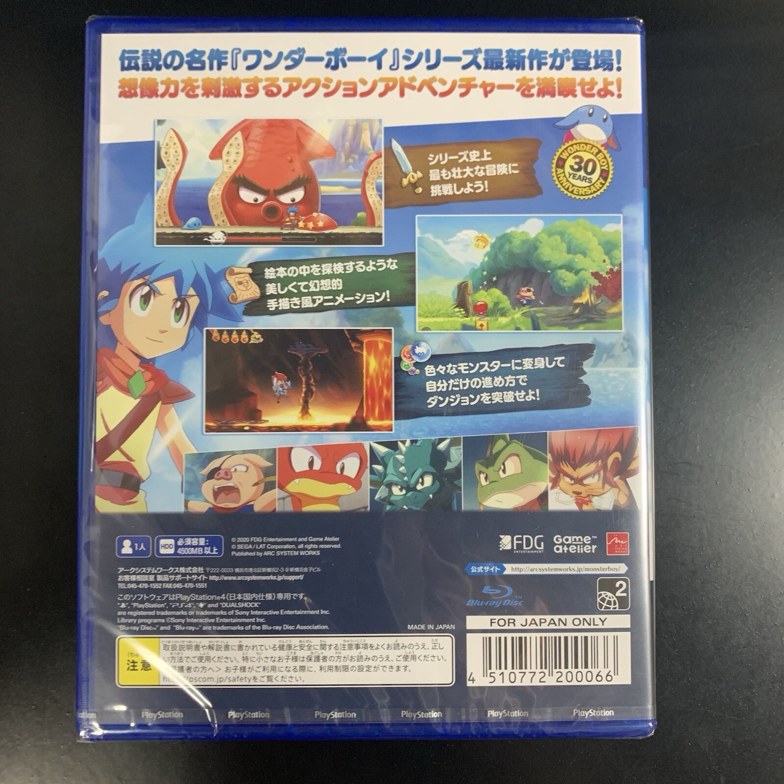 Monster Boy and the Cursed Kingdom