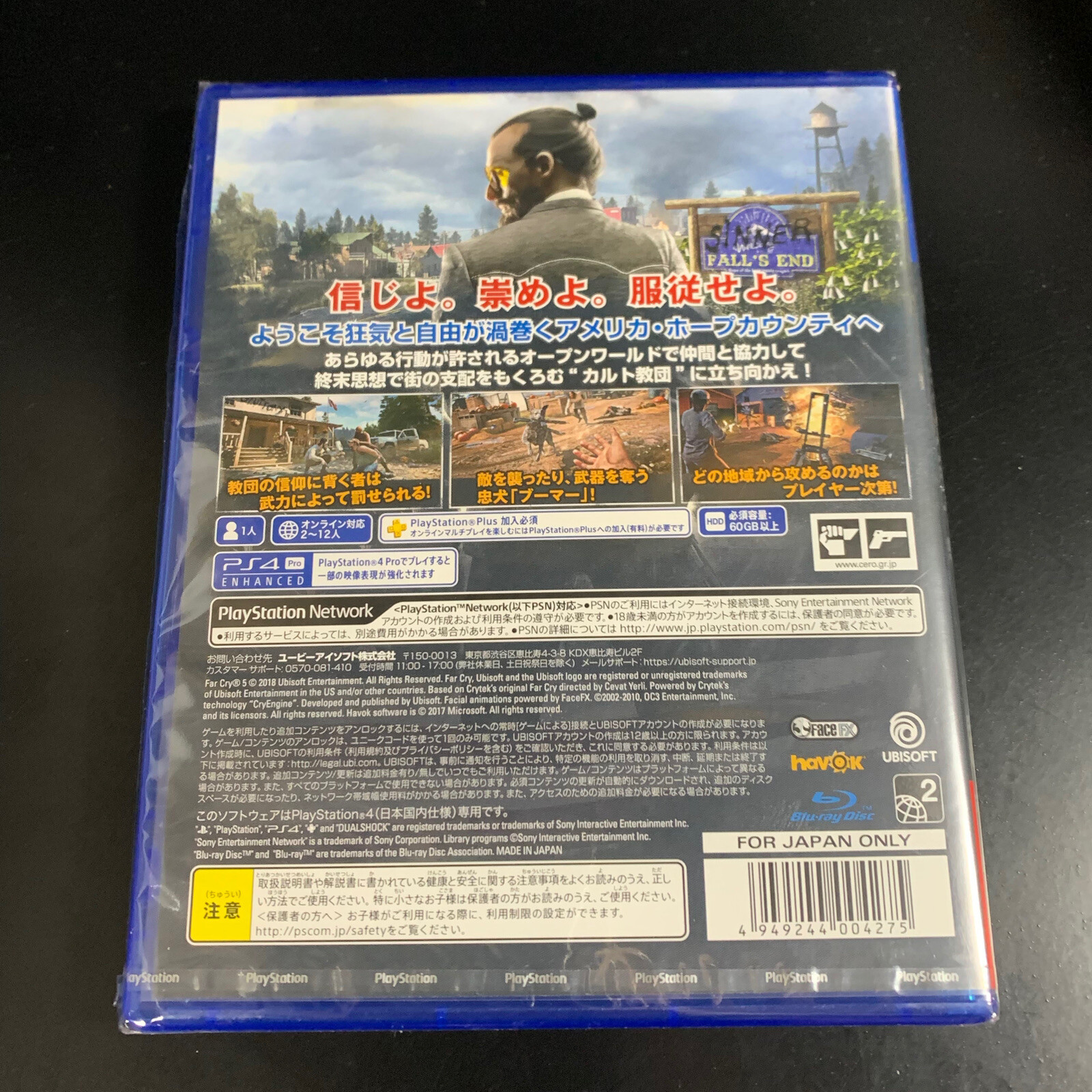 Far Cry 5