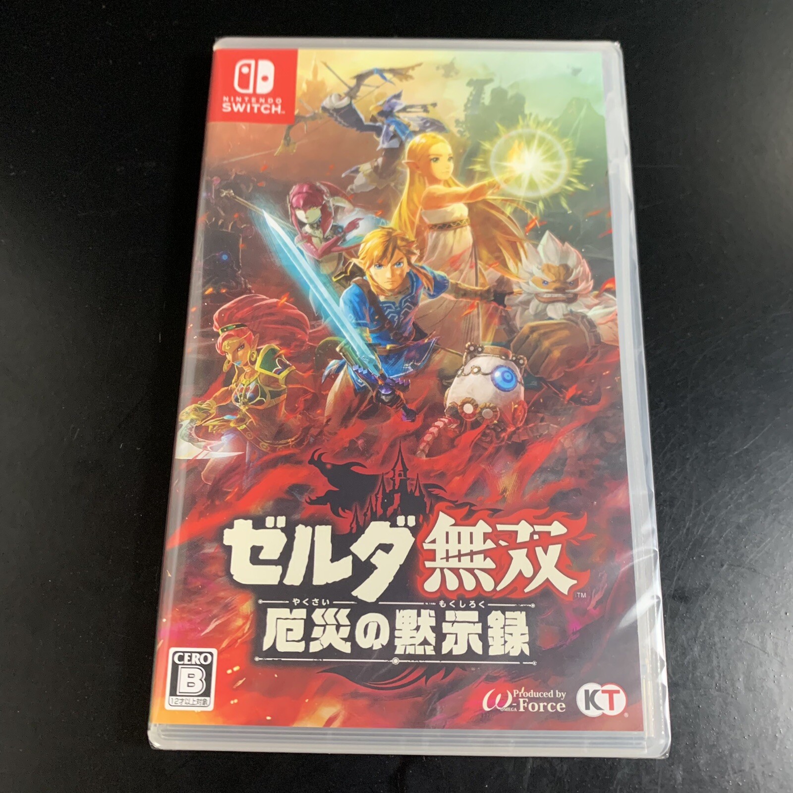Hyrule Warriors Age of Calamity