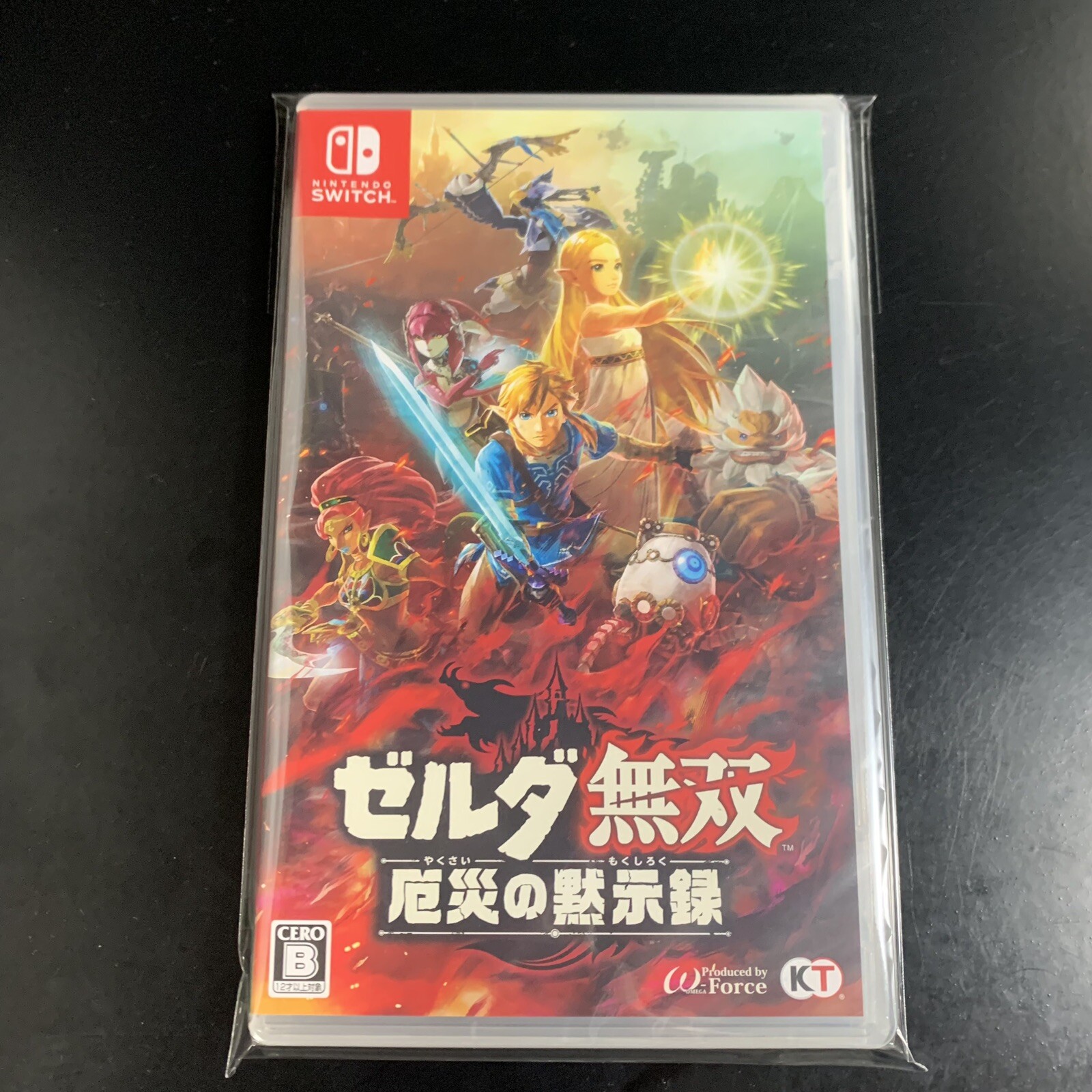 Hyrule Warriors Age of Calamity