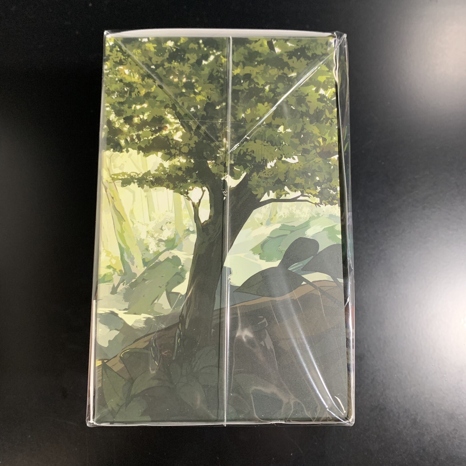 Marchen Forest: Mylne and the Forest Gift Limited Edition