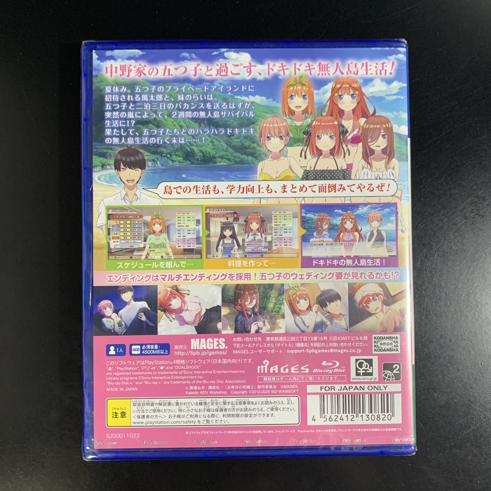 The Quintessential Quintuplets ∬ Summer Memories