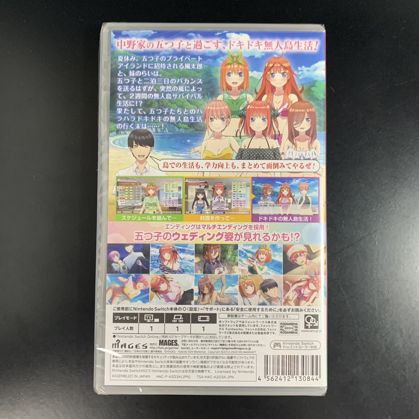 The Quintessential Quintuplets SS Gotoubun no Hanayome