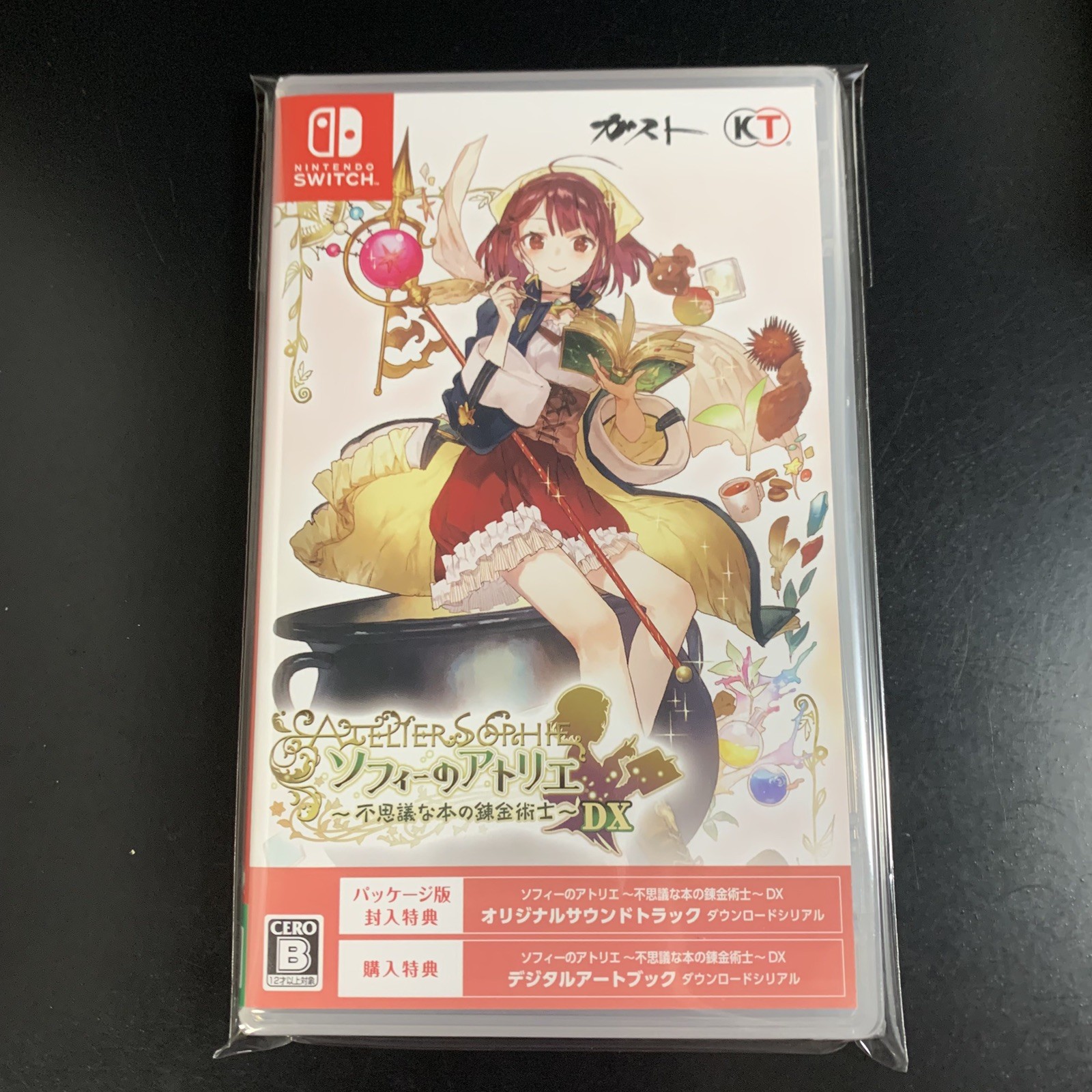 Atelier Sophie The Alchemist of the Mysterious Book DX