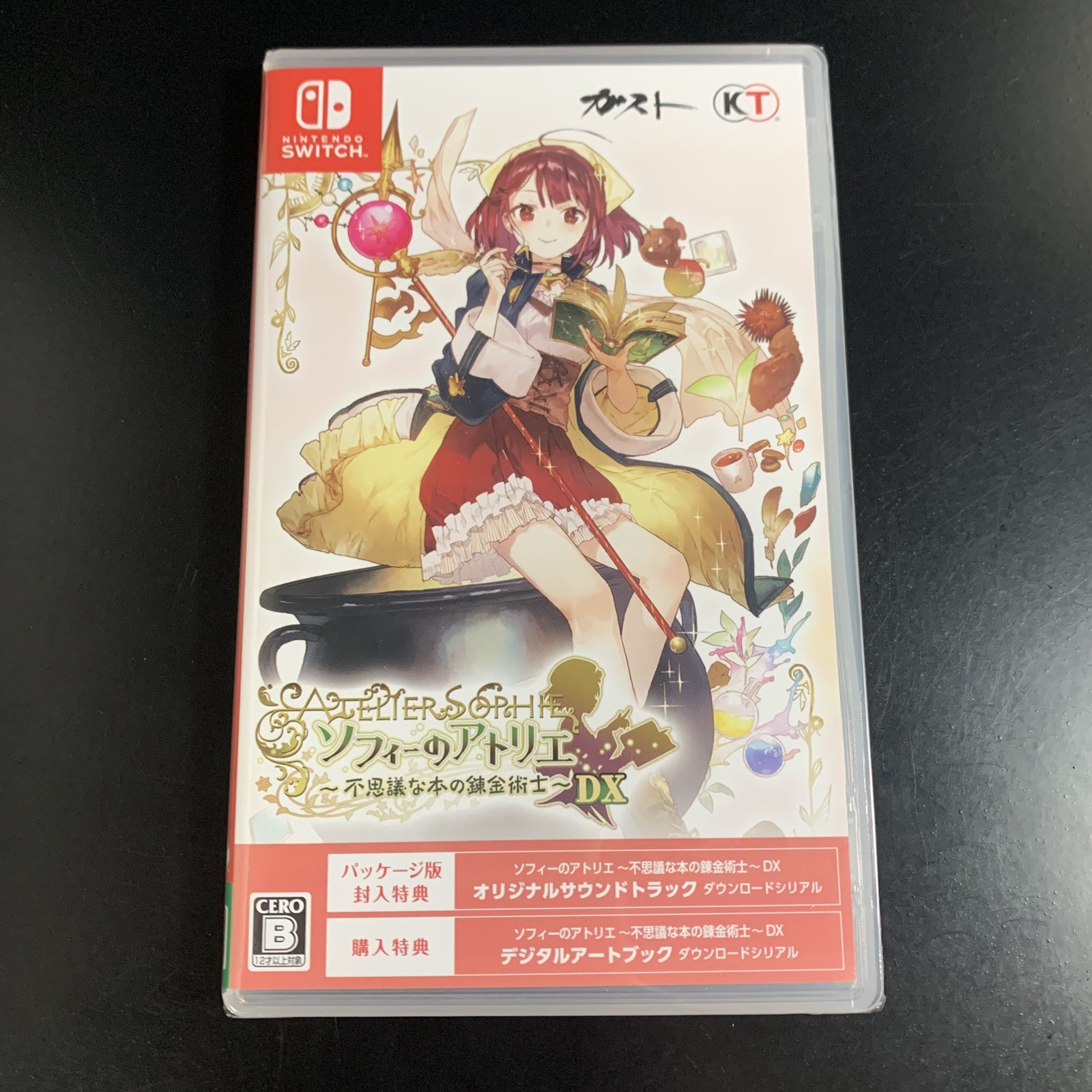 Atelier Sophie The Alchemist of the Mysterious Book DX