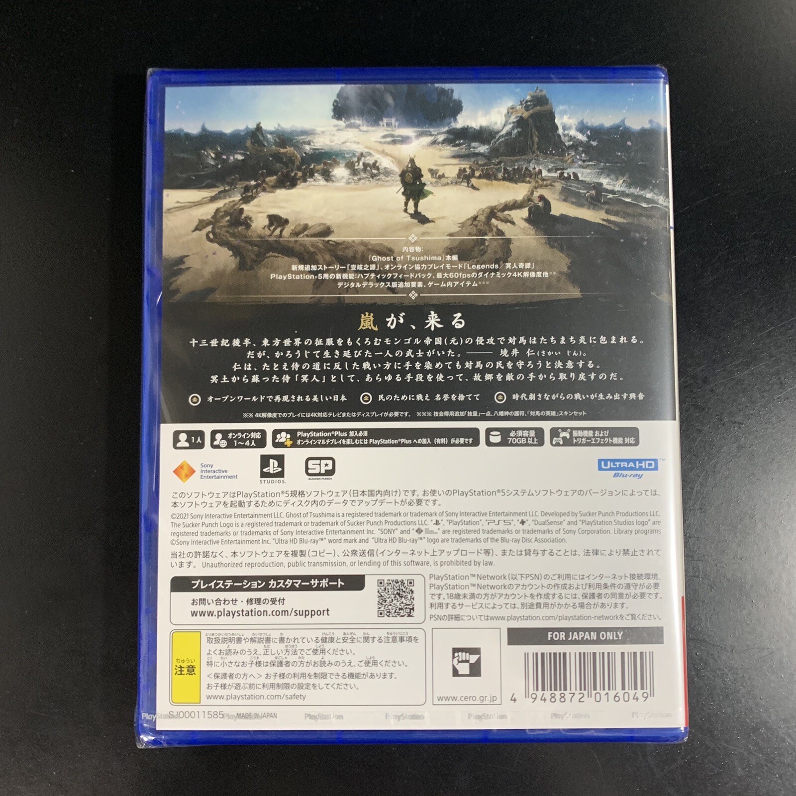 Ghost of Tsushima Director's Cut