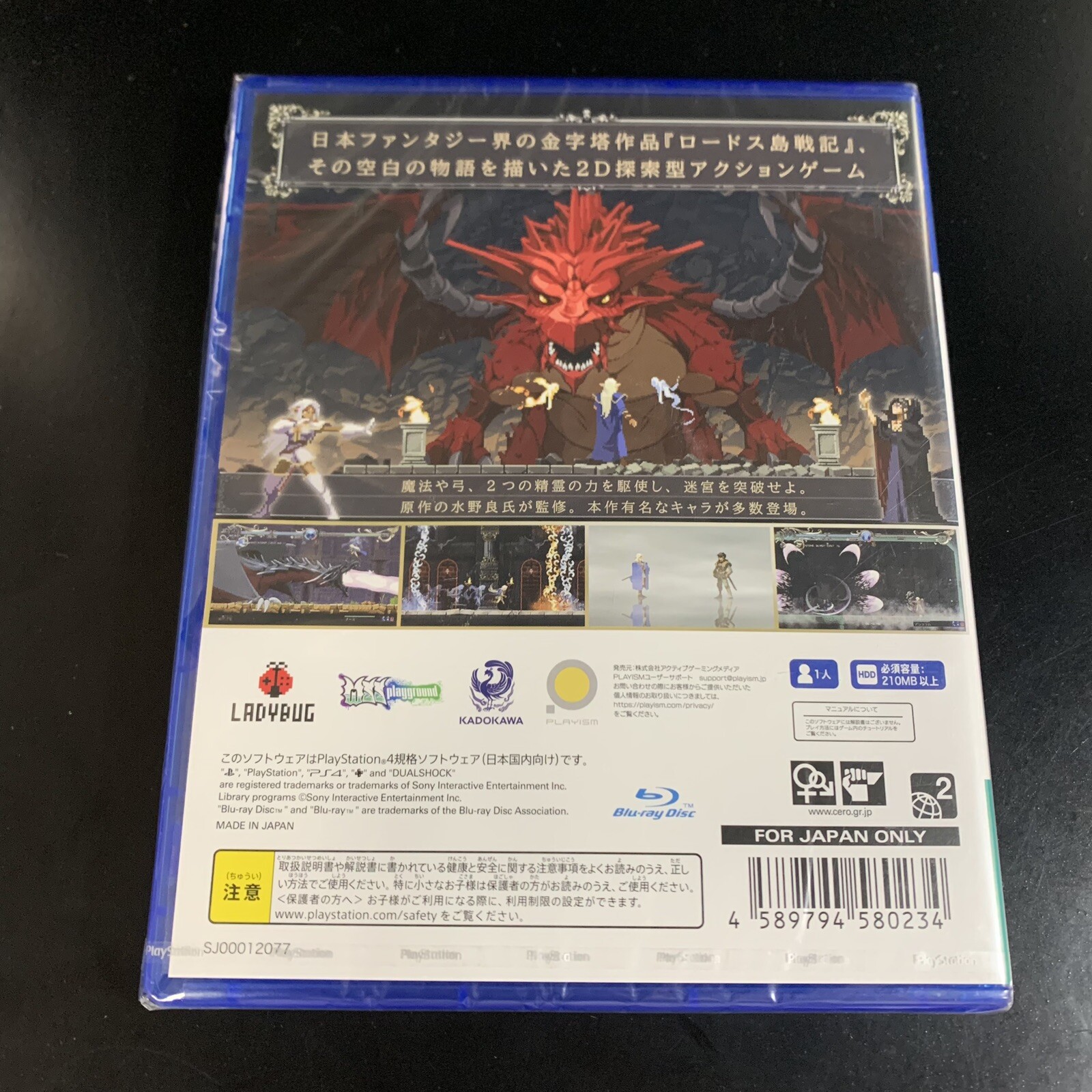 Record of Lodoss War