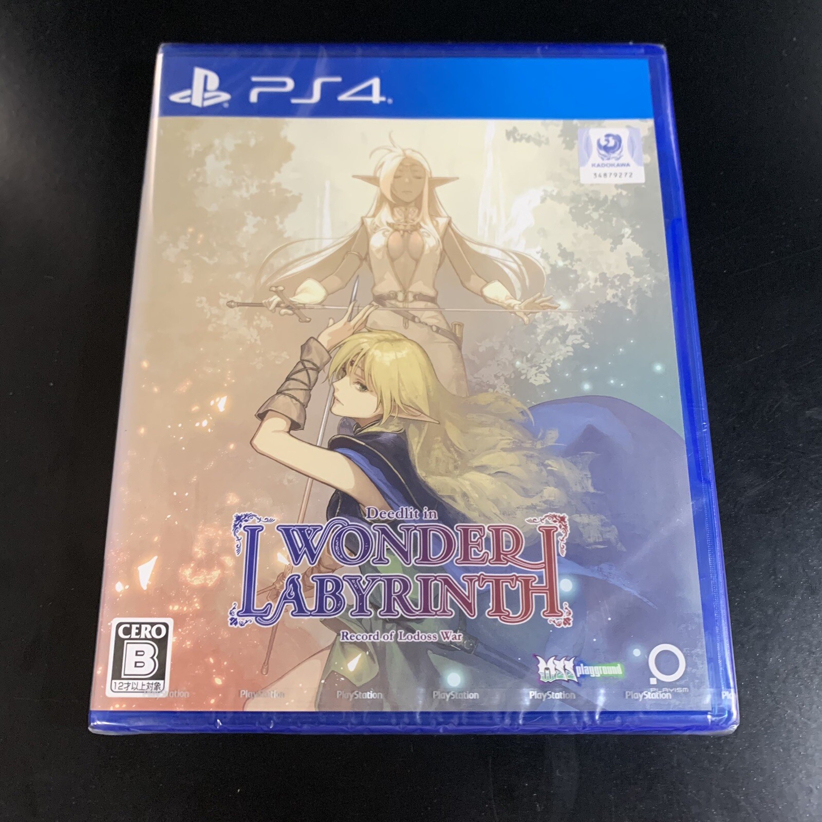 Record of Lodoss War