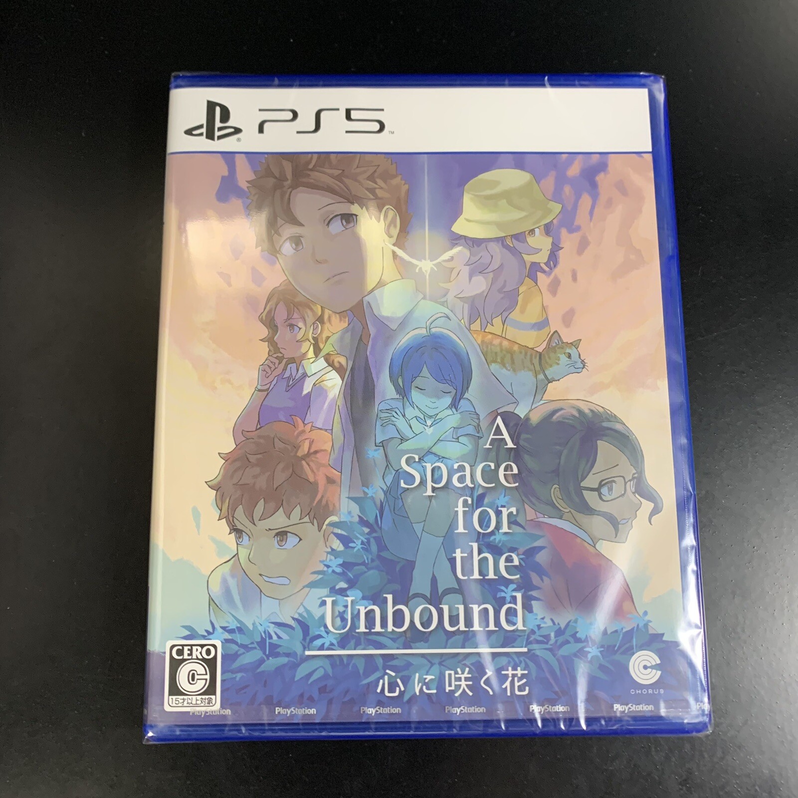 A Space For The Unbound