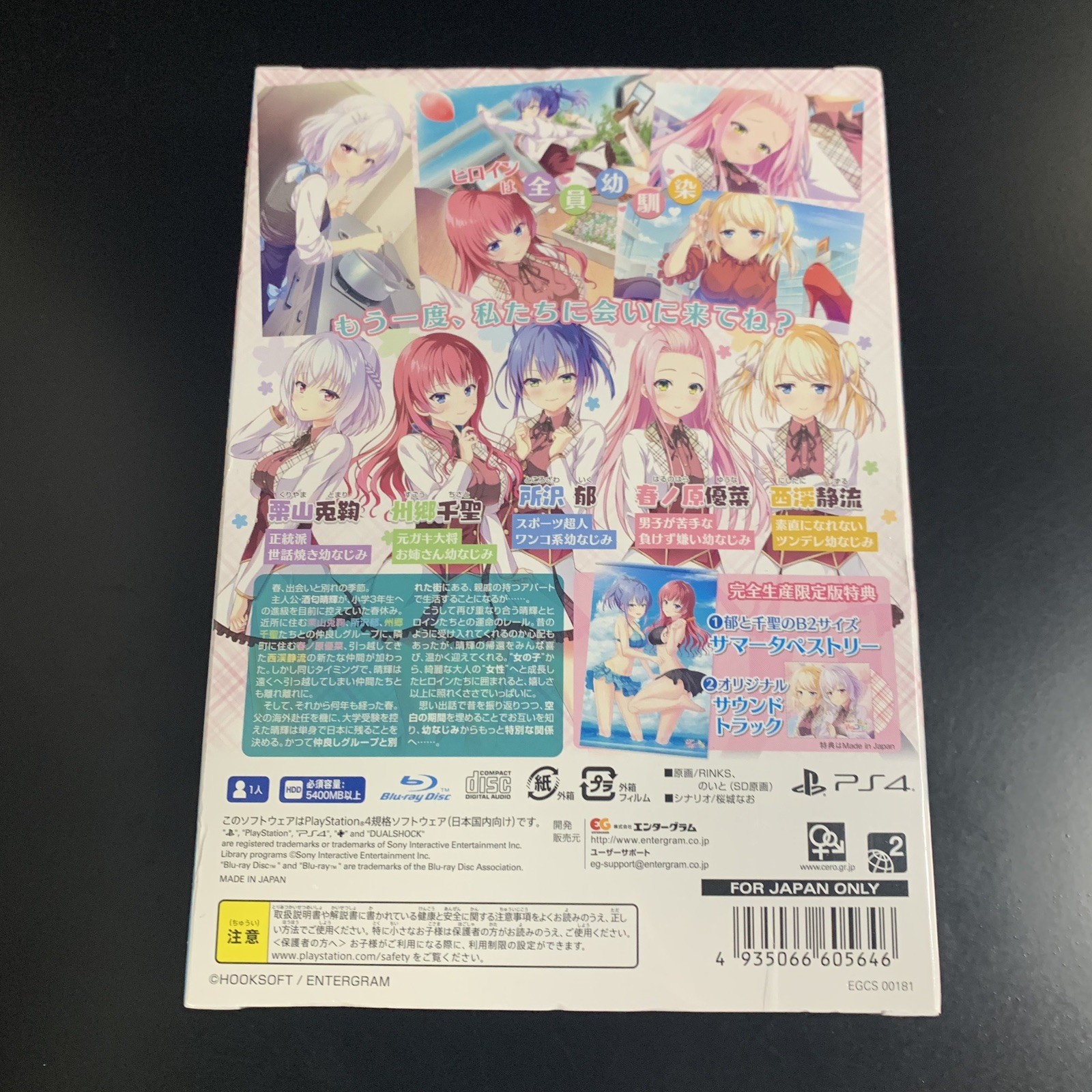 Omoide Kakaete Ai ni Koi!! Limited Edition