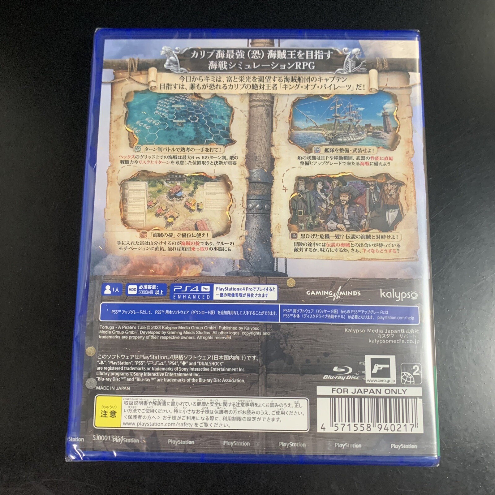 Tortuga A Pirate's Tale