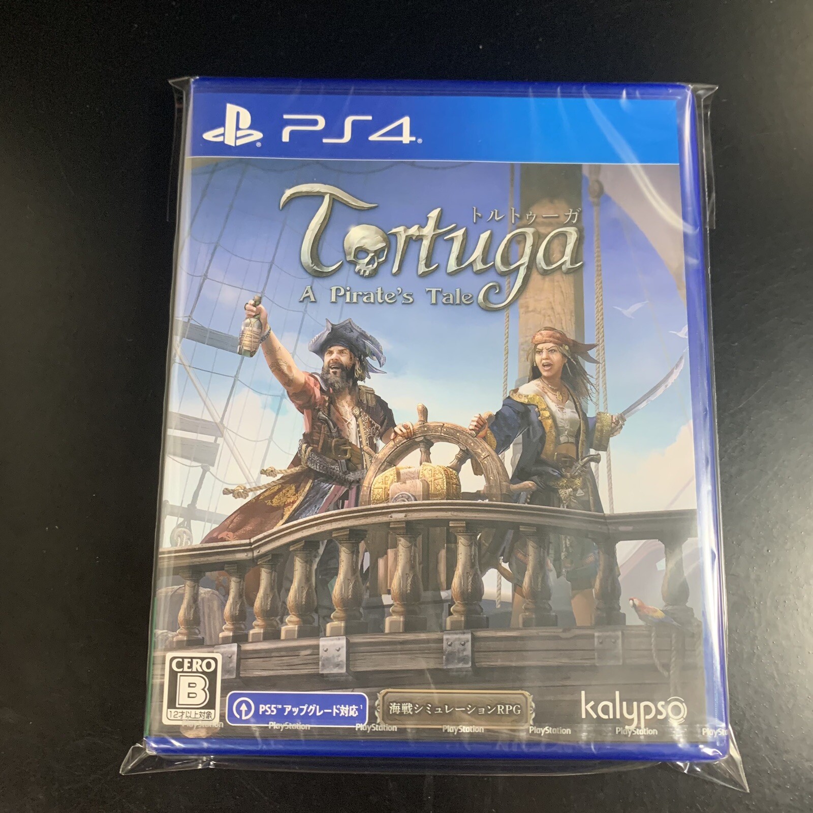 Tortuga A Pirate's Tale