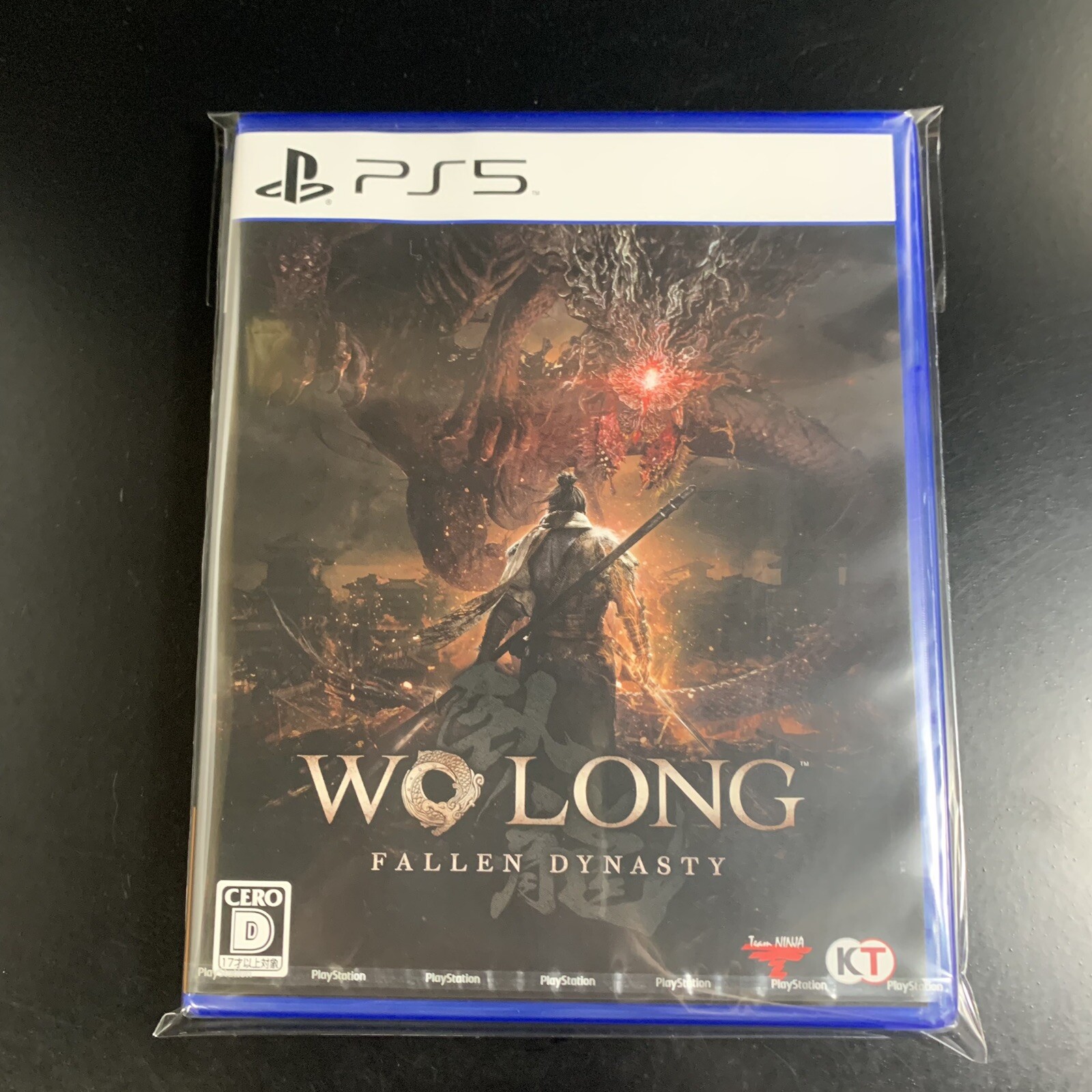 Wo Long Fallen Dynasty