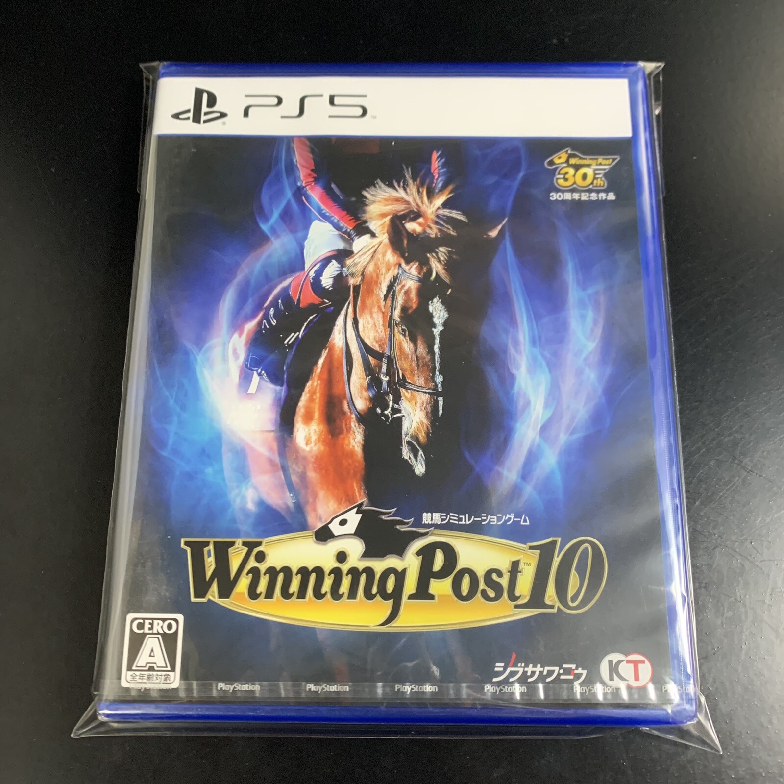 Winning Post 10