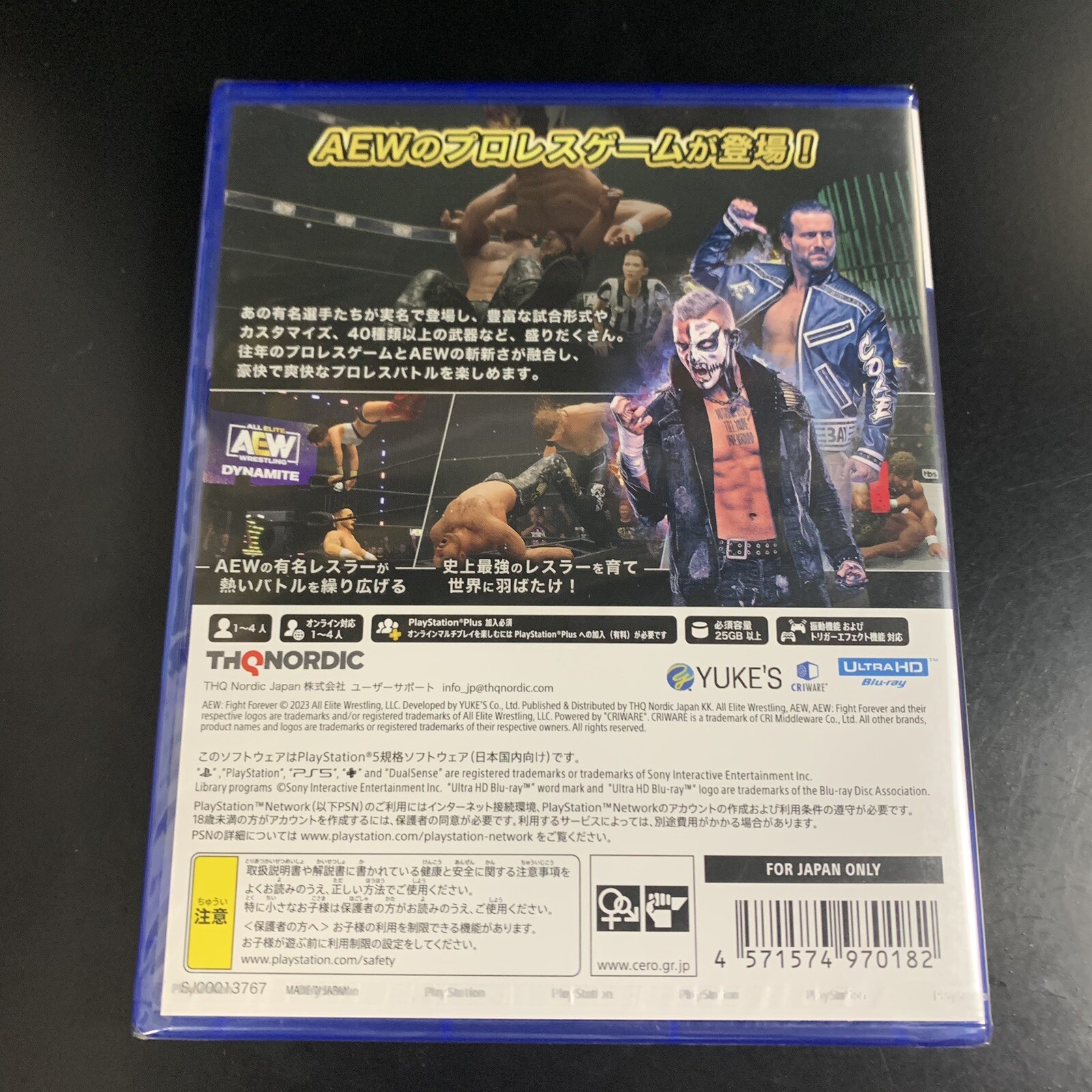 AEW Fight Forever
