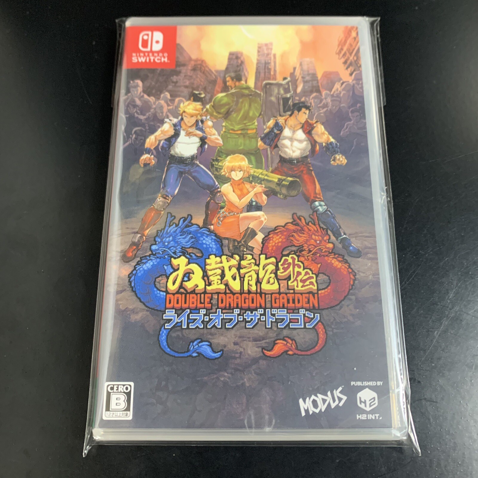Double Dragon Gaiden Rise of the Dragons