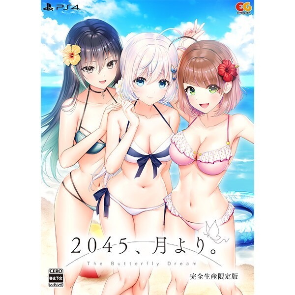 2045, Tsuki Yori. Limited Edition