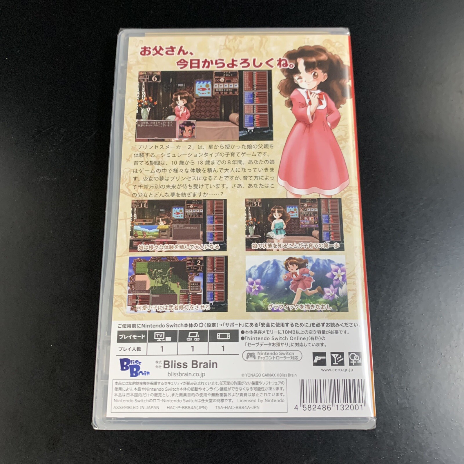 Princess Maker 2 Regeneration