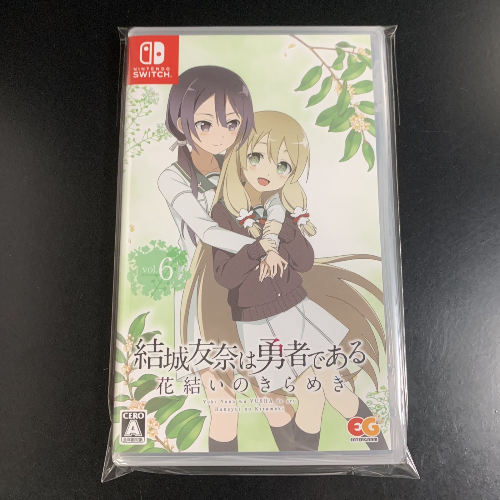 Yuki Yuna wa Yusha de aru Hanayui no Kirameki Vol. 6