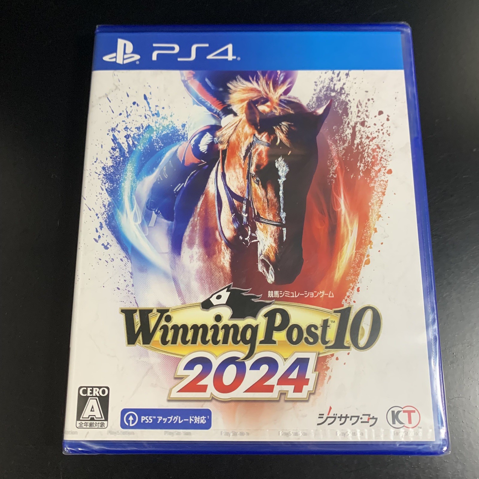 Winning Post 10 2024