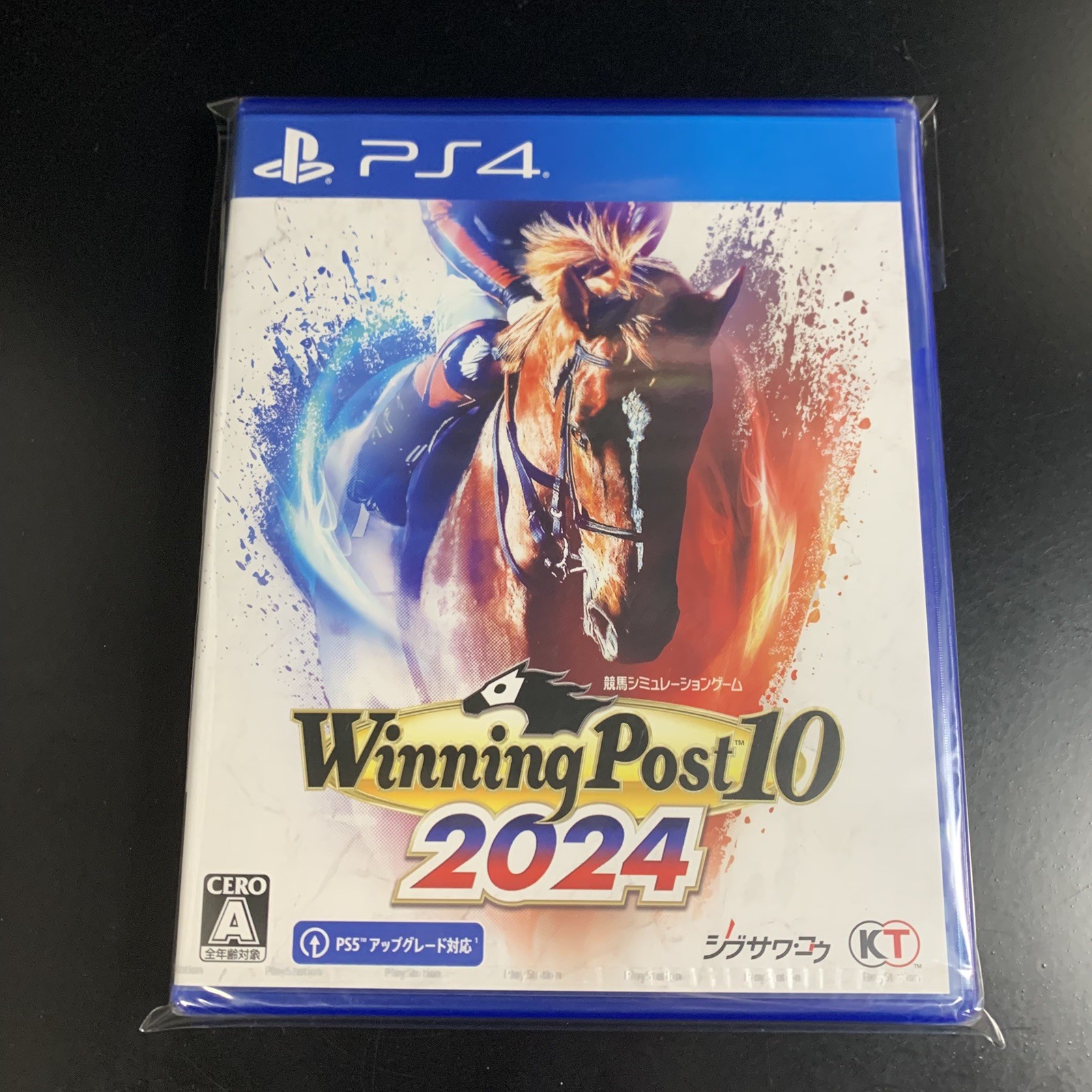Winning Post 10 2024
