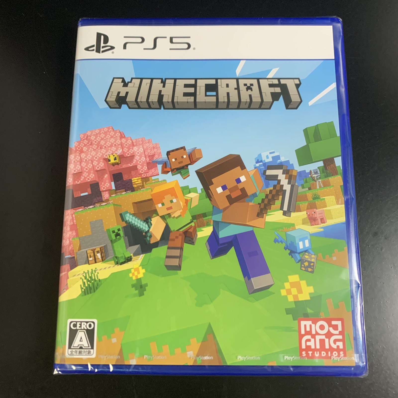 Minecraft