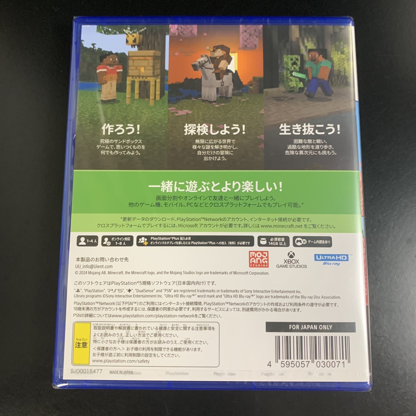 Minecraft