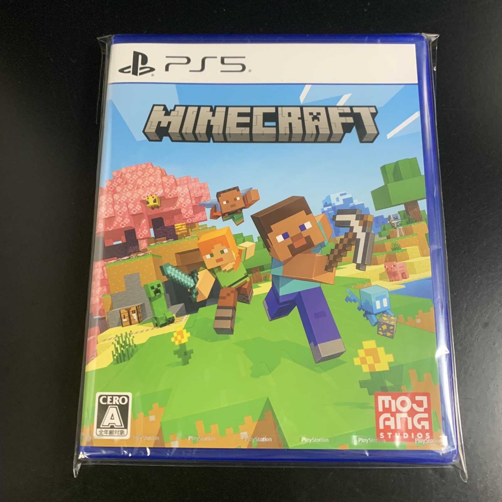 Minecraft