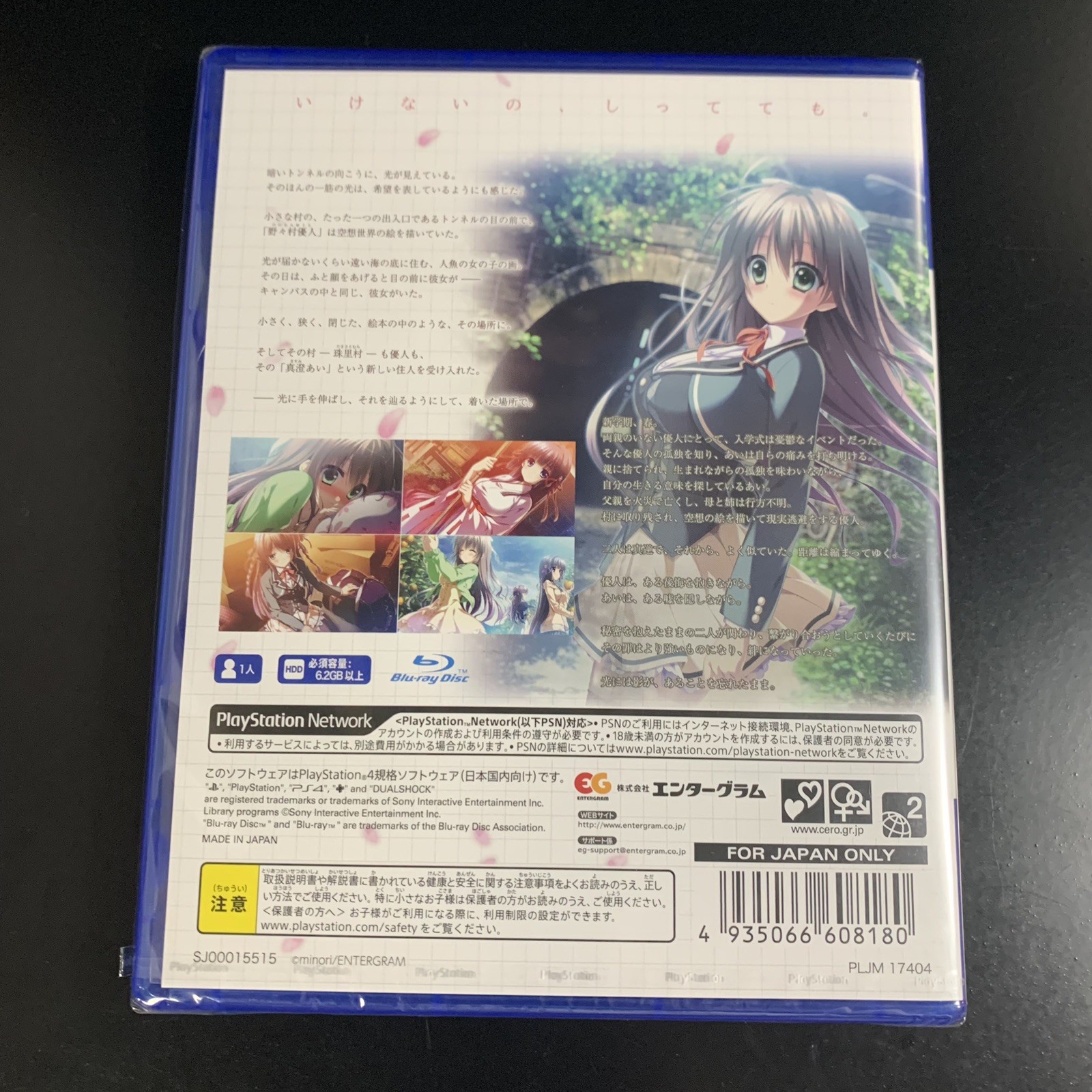 Tsumi no Hikari Rendezvous
