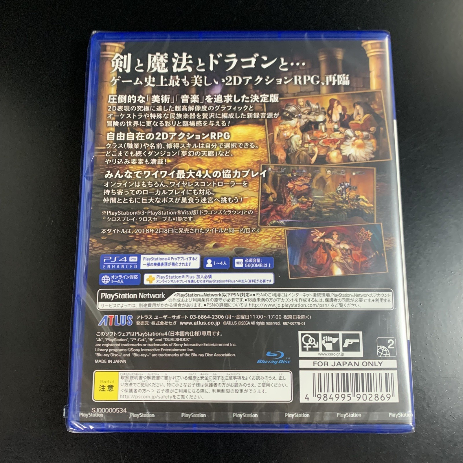Dragon's Crown Pro